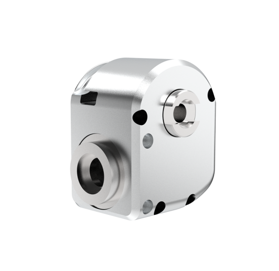 Enveloping Worm Gear Reducer